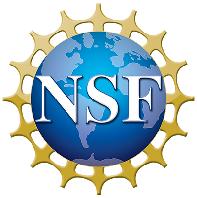 nsf logo